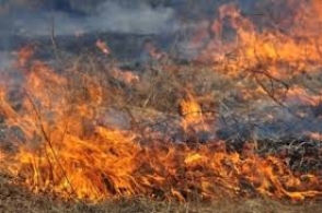 Օշական գյուղում մոտ 5000 քմ խոտածածկույթ է այրվել